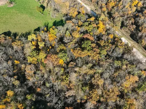 tbd Bear Creek Dr, Dorchester, IA 52140