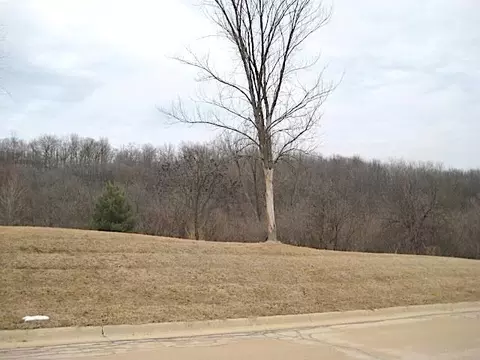 lot16 Ohmer Ridge Subdivision, Mcgregor, IA 52157