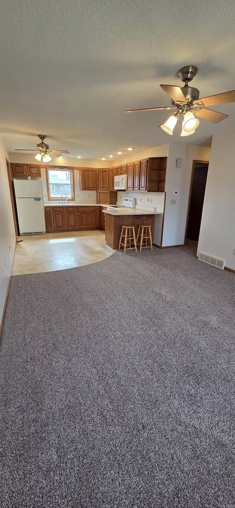 203 E Ridge St, Readlyn, IA 50668 photo 7