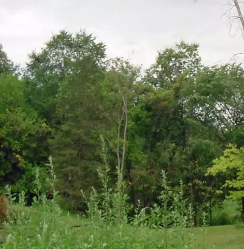 lot141 Sal Ave, Dunkerton, IA 50626