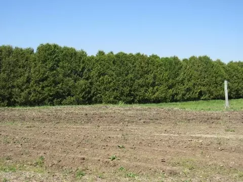 valley court LOT 7, Monticello, IA 52310