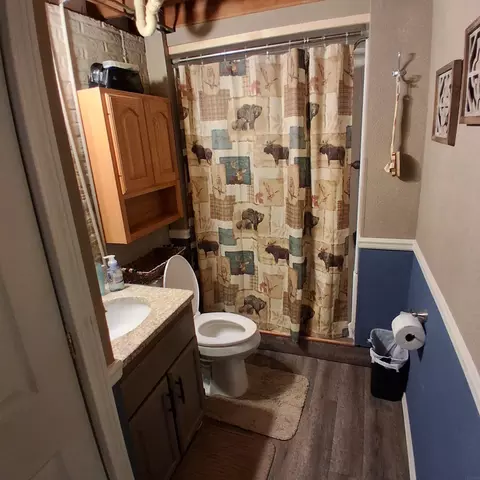 Bath - 207 2nd St, Frederika, IA 50631 photo 3 of 4