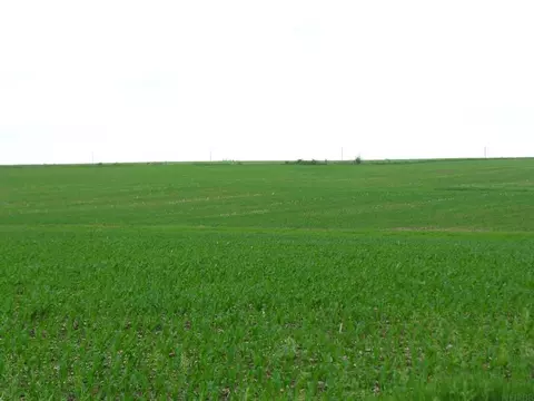 Primrose Avenue, Little Cedar, IA 50454