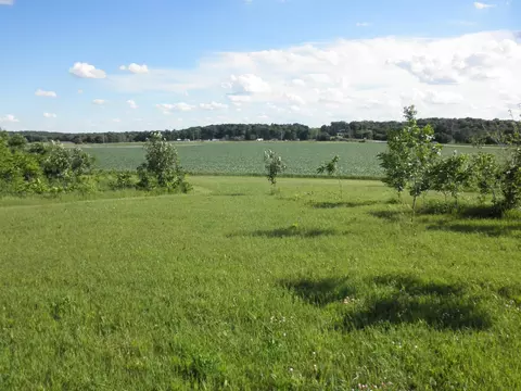 Foothill Avenue, Saint Ansgar, IA 50472