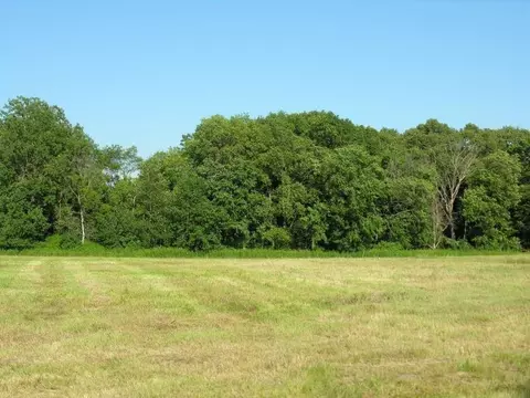 3319 Mahogany Ave, Osage, IA 50461