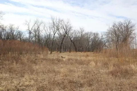 2920 230 St, Readlyn, IA 50668 photo 21