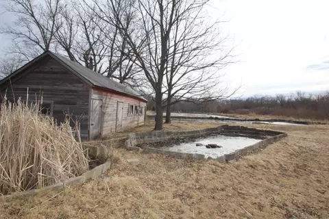 2920 230 St, Readlyn, IA 50668 photo 29