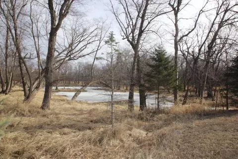 2920 230 St, Readlyn, IA 50668 photo 17