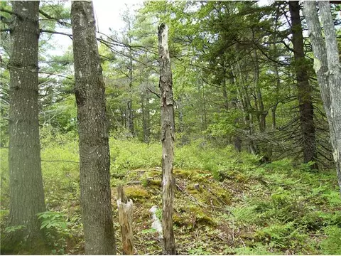 29 Quarry Rd, Phippsburg, ME 04562 photo 1
