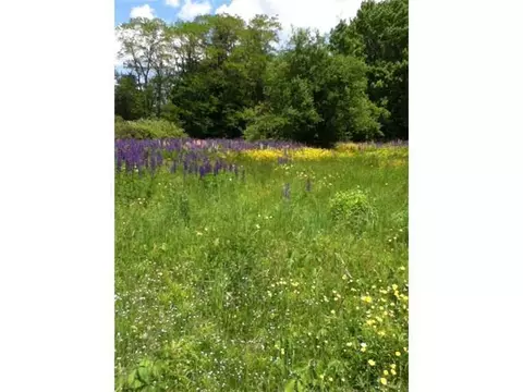 91 Waldo Ave, Belfast, ME 04915 photo 1