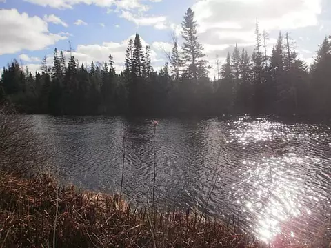 80 River Rd, Jackman, ME 04945 photo 1
