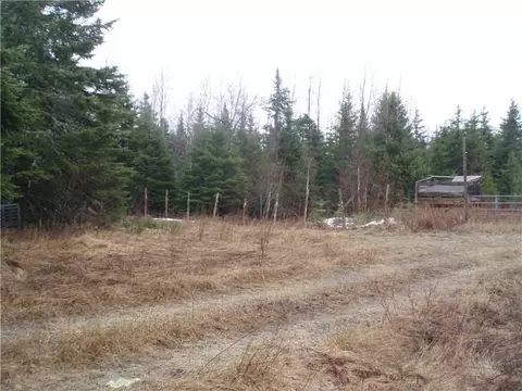431 Packard Rd, Bridgewater, ME 04735 photo 1
