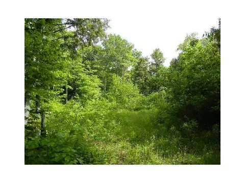 92 Sandy Beach Rd, Danforth, ME 04424 photo 1