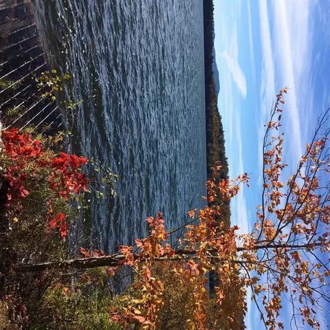 172 Quimby Pond Rd, Rangeley, ME 04970 photo 1