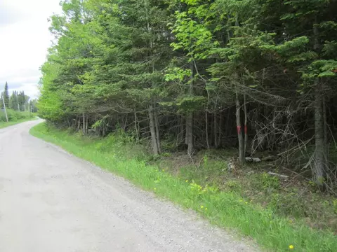 33 Heald Stream Rd, Jackman, ME 04945 photo 1
