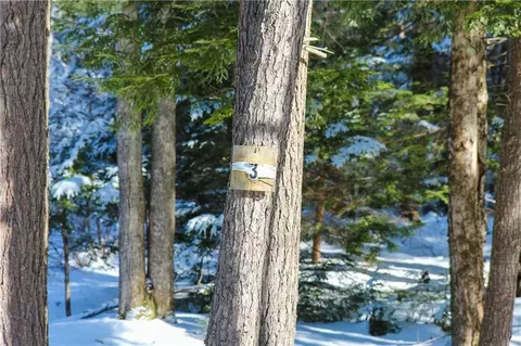 46 Chickadee Ln, Durham, ME 04222 photo 1