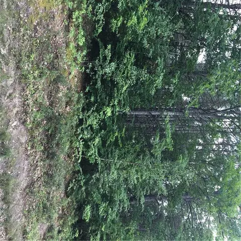 1 Hopper Rd, Acton, ME 04001 photo 1