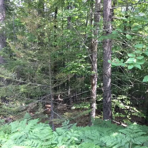 703 Fuller Rd, Hermon, ME 04401 photo 1