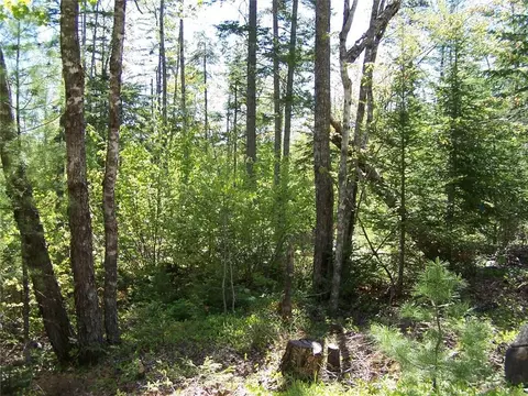 501 Bert Gray Rd, Sullivan, ME 04664 photo 1