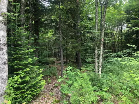 27 Sandy Acres Dr, Sullivan, ME 04664 photo 1