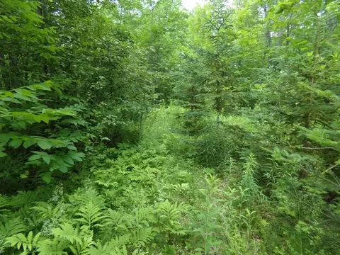 184 Stetson Rd E, Levant, ME 04456 photo 1
