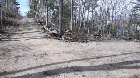 6 Spruce St, Bath, ME 04530 photo 1