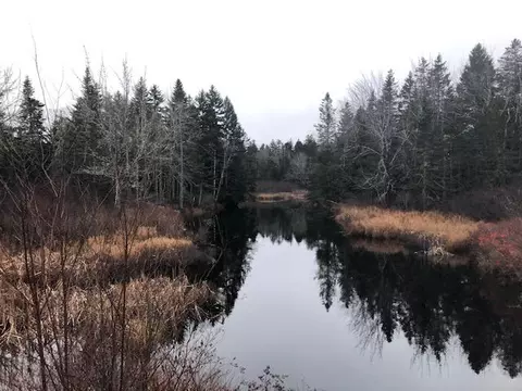 7 Dodge Rd, Whiting, ME 04691 photo 1