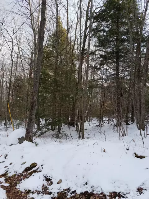 105 Allen Rd, Stoneham, ME 04231 photo 1