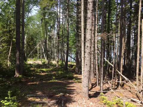 563 Rays Point Rd, Milbridge, ME 04658 photo 1