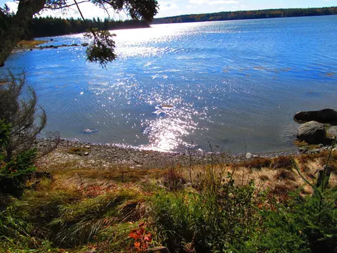 111 Flye Point Rd, Brooklin, ME 04616 photo 1