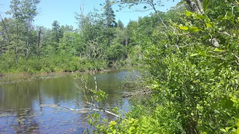 594 River Rd, Windham, ME 04062 photo 1