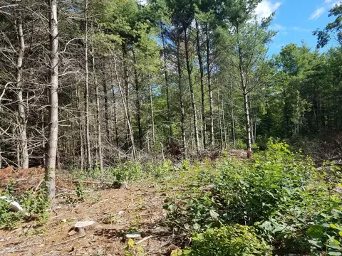 693 Bog Rd, Albion, ME 04910 photo 1