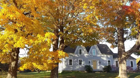 432 Old Winthrop Rd, Wayne, ME 04284 photo 1