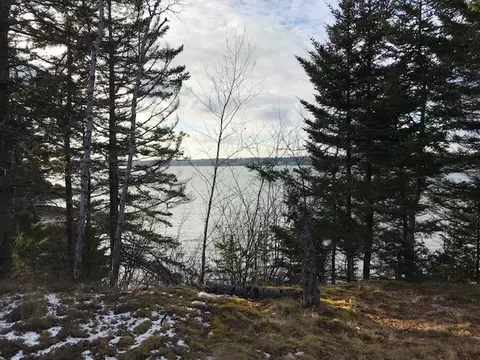 71 Dolly Head Rd, Steuben, ME 04680 photo 1