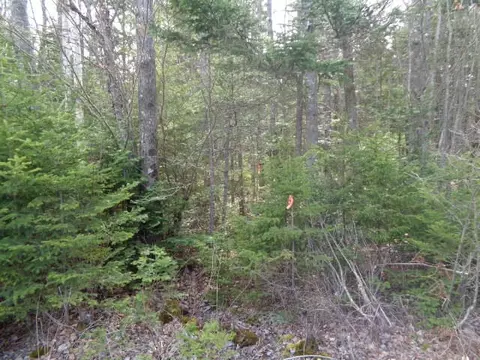 22 Shady Ln, Steuben, ME 04680 photo 1
