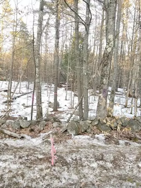 320 Garvin Rd, Acton, ME 04001 photo 1