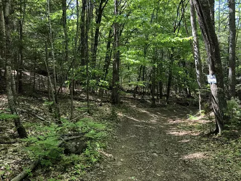 lot17 F Off Austin Rd, West Bath, ME 04530 photo 1