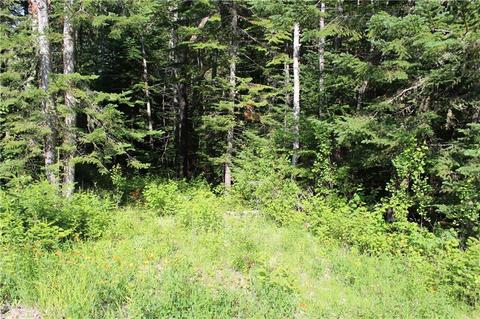 M9/l24a+b Bemis Road, Rangeley Plt, ME 04970