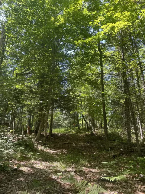 tbd Carrabassett Rd, New Portland, ME 04961
