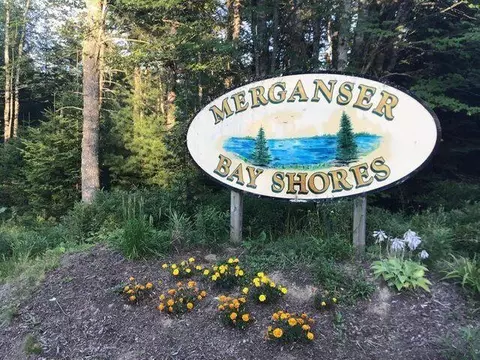0 Merganser Dr #LOT 14, Gouldsboro, ME 04607