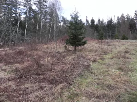 749 Us Rte #1, Perry, ME 04667