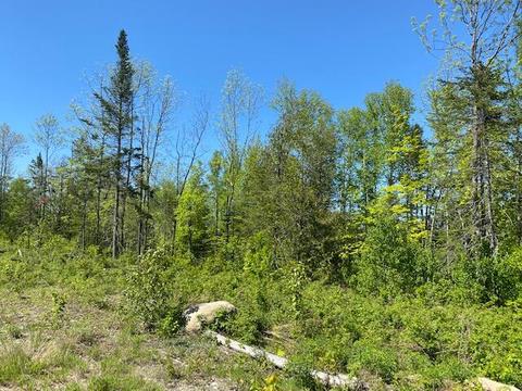 L4 Greenville Road, Monson, ME 04464