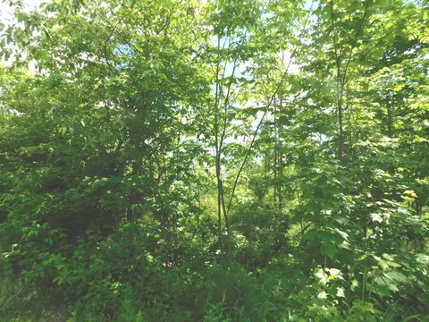 000 Fush Hill Rd, Ripley, ME 04923