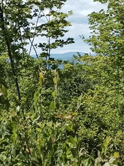 000 Huff Hill Rd E, Hartland, ME 04943