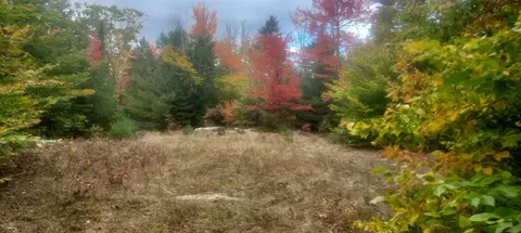 lot6 7 Curtis Rd, Etna, ME 04434