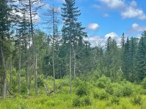 000 Beckwith Rd, Cornville, ME 04976