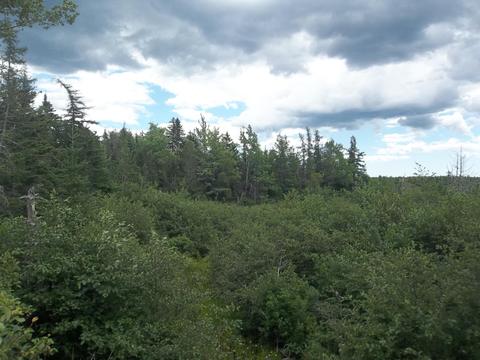 X Route 86, Marion Twp, ME 04657
