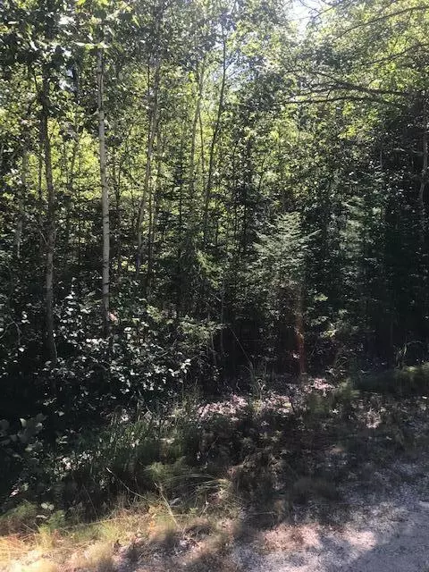 0 Willey District Rd, Cherryfield, ME 04622