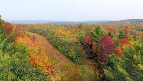 tbd Chesterville Rd, Jay, ME 04239