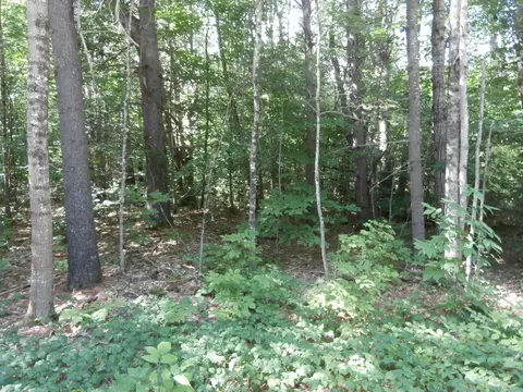 00- Lot4 Quarry Rd, Limerick, ME 04048 photo 1